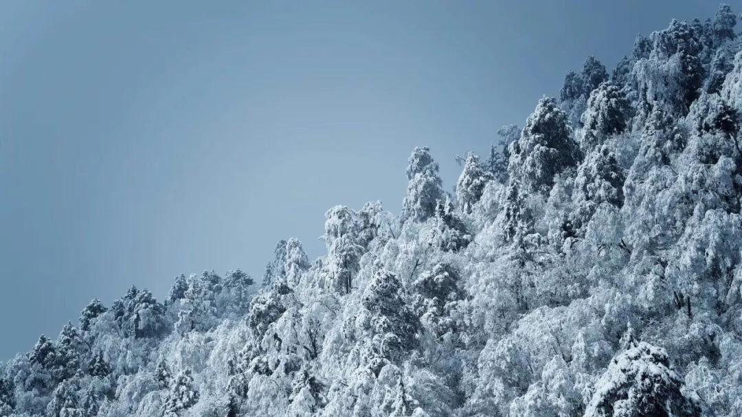 逃离火山口
